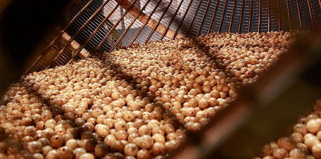 08:00: Sorteo De Loteria De Navidad | LA 1 | 12/22 2025