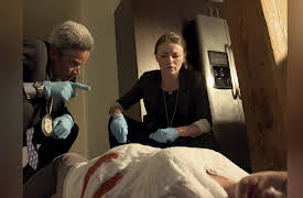 In Plain Sight Season 1: Star-Crossed Killer