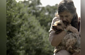 Intruders Season 1: The Walls Have Eyes