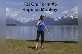 Balance & Strength Exercises for Seniors: 9 Practices with Jane Adams: Tai Chi Form #5 Repulse Monkey