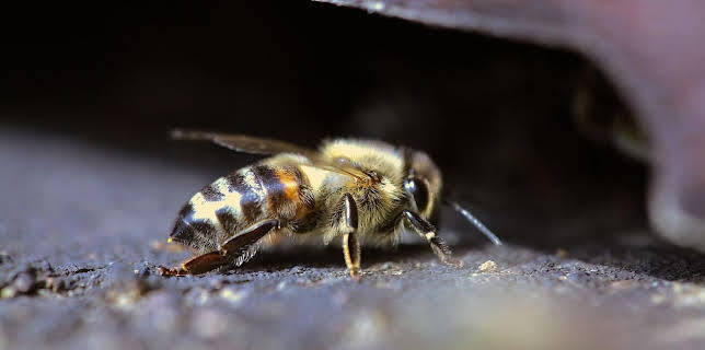 07:35: GEO Reportage | Arte | 1/17 2026