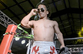 Big Little Brawlers, Season 1: The Main Event