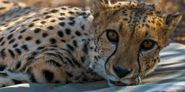 05:00: 42 - Die Antwort auf fast alles | ARD Alpha | 2/7 2026