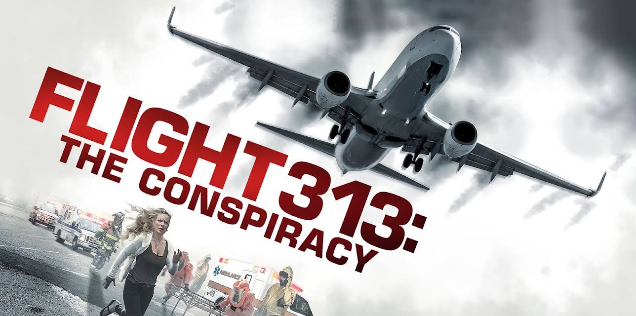 Flight 313: The Conspiracy (2016)