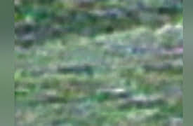 Fact Or Faked: Paranormal Files Season 1: Sasquatch Sprint / Alien Attacker