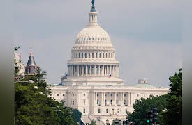 Death Of The Party: Dawna Natske