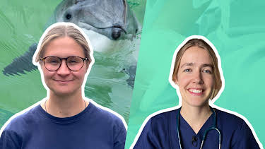 13:00: alpha Uni | ARD Alpha | 2/14 2026