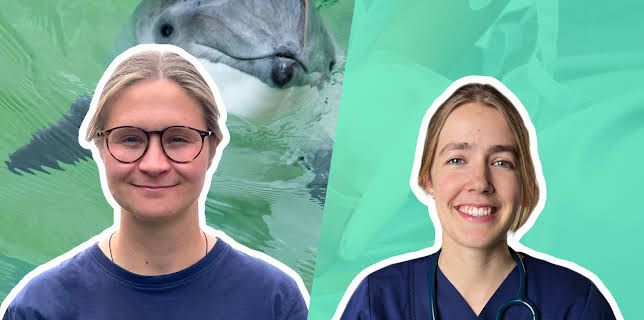 07:00: alpha Uni | ARD Alpha | 2/15 2026