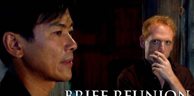 Brief Reunion (2013)