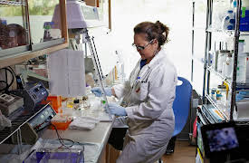 I Contain Multitudes, Season 1: Saved by a Fungus