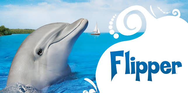 Flipper (1964)