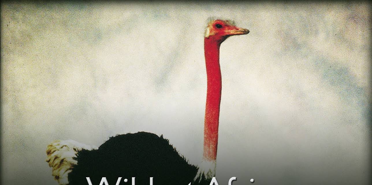 Wildest Africa (1995)