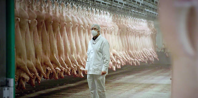 05:30: Wen dürfen wir essen? | Arte | 1/21 2026