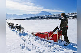 Animals that Changed History: Beasts of Burden