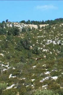 05:45: Xarxa Natura | Canal 33 | 3/30 2026