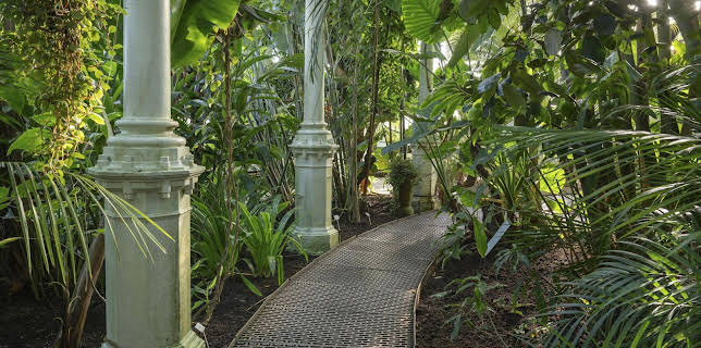 15:30: Schnittgut. Alles aus dem Garten | BR Fernsehen | 3/2 2026