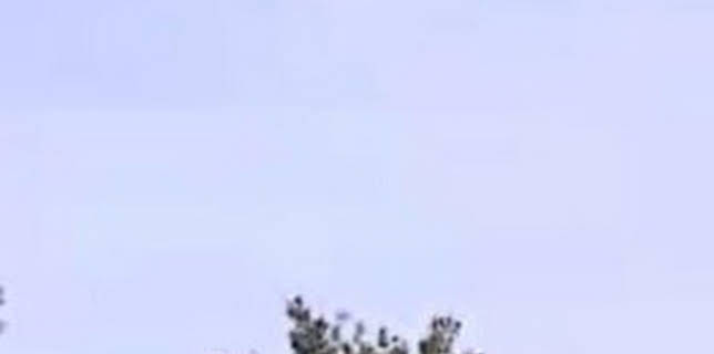 06:00: Made in Extremadura | Canal Extremadura | 12/25 2025