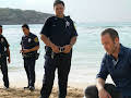 Hawaii Five-0