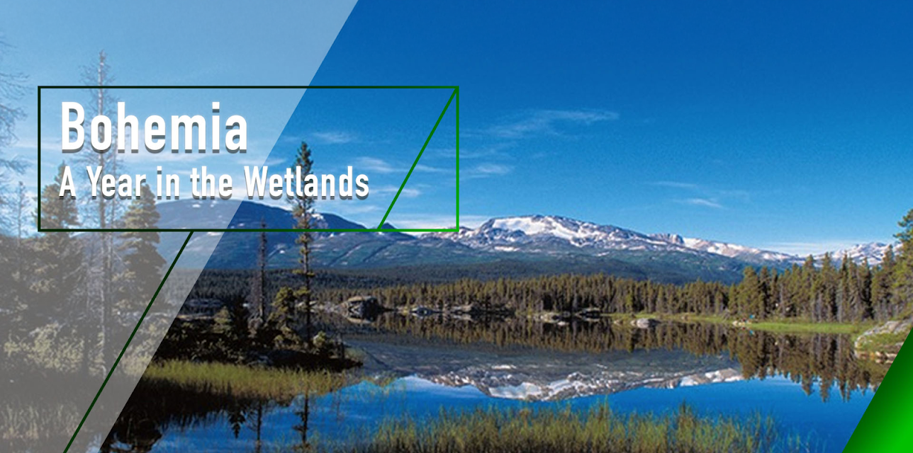 Bohemia - A Year in the Wetlands (2009)