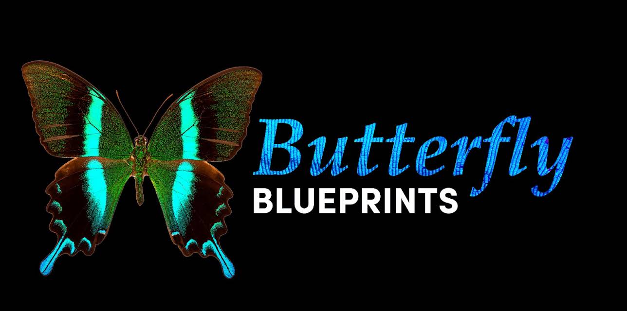 Butterfly Blueprints (2022)