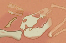 I'm Curious: Dinosaurs