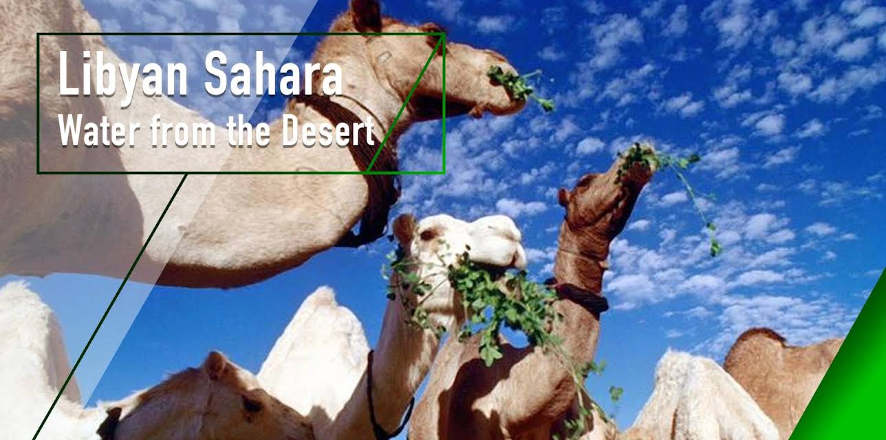 Libyan Sahara - Water from the Desert (2001)
