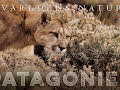 Världens natur: Patagonien