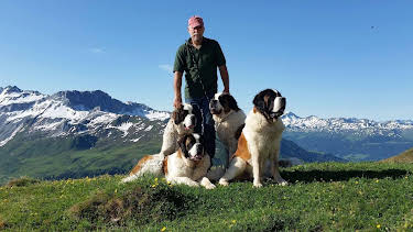 10:00: Schweizer Hundegeschichten: Der Bernhardiner vom Großen Sankt Bernhard - Weit mehr als ein Mythos | 3SAT | 5/10 2026