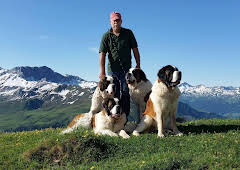 Schweizer Hundegeschichten: Der Bernhardiner vom Großen Sankt Bernhard - Weit mehr als ein Mythos