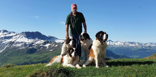 15:55: Schweizer Hundegeschichten: Der Bernhardiner vom Großen Sankt Bernhard - Weit mehr als ein Mythos | 3SAT | 3/3 2026