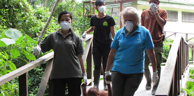 01:53: Meet The Orangutans (S1 E5) (S1) | Animal Planet | 11/30 2025