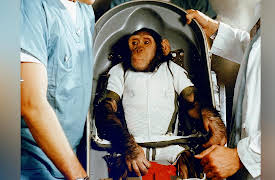 Liberty on Trial in America: Cases That Defined Freedom: Liberty for Nonhumans?