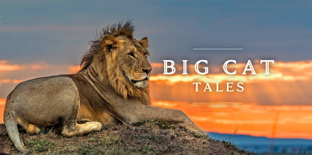 01:15: Big Cat Tales (S2 E2) (S2) | Animal Planet | 5/14 2025