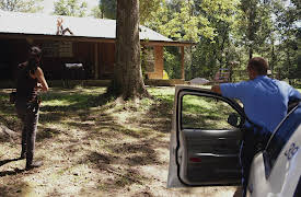 Cryptid: The Swamp Beast Season 1: The Awakening