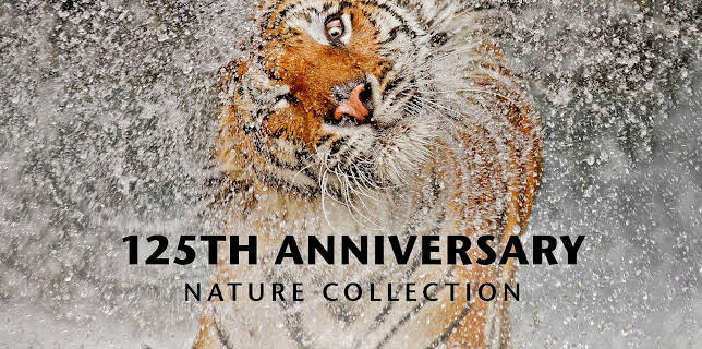 National Geographic 125th Anniversary Nature Collection Season 1