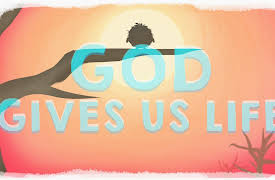 Night Owls & Early Birds: Season 1: Sun - Light of Life