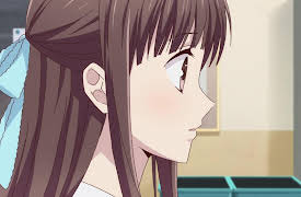 Fruits Basket: Season 1: You Look Like You're Having Fun