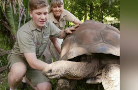 Wild Times: Meet the Tortoise