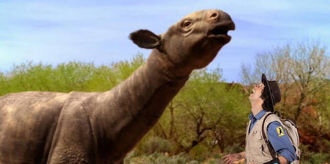 5:05 PM: Andy's Prehistoric Adventures | Cbeebies | 2/3 2026