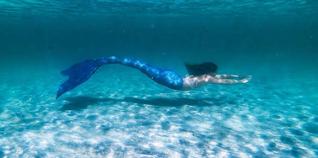 7:30 PM: Miann na Maighdinn-mara/Mermaid Tales (S1 E4) (S1) | BBC Alba | 11/8 2025