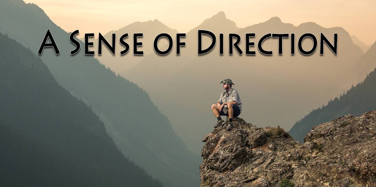 A Sense of Direction (2016)