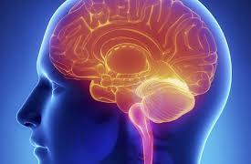 The Science of Mindfulness: A Research-Based path to Well-Being: Modifying Our Brain Function and Structure