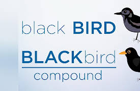 Language A to Z: C for Compounds