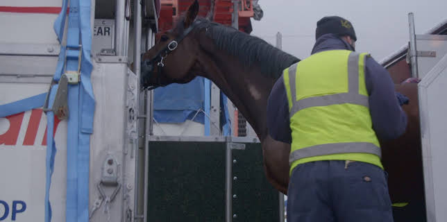 13:50: OSL 24-7 (S2 E16) (S2) | TV10 | 12/30 2025