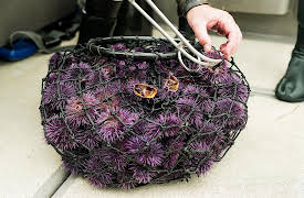 Hope in the Water: Changing the Menu