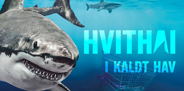 23:36: Hvithai i kaldt hav | NRK 2 | 1/14 2026