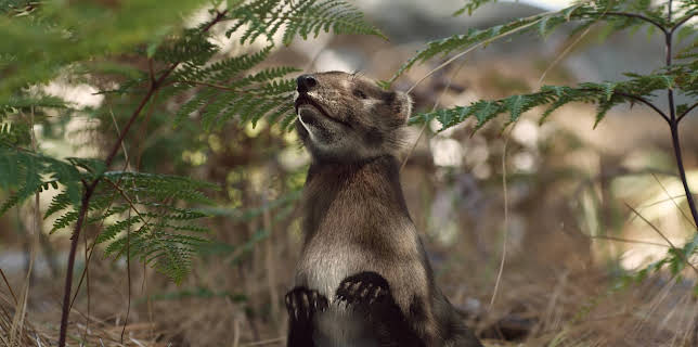 06:10: Verborgene Welten | ZDFinfo | 11/12 2025