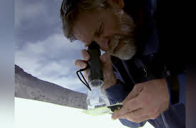 Curiosity: X-Ray Yellowstone