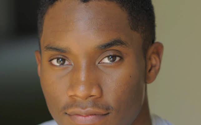 Brett Austin Johnson