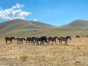 20:15: Der Apennin - Italiens Naturparadies | SWR Fernsehen RP | 8/9 2026